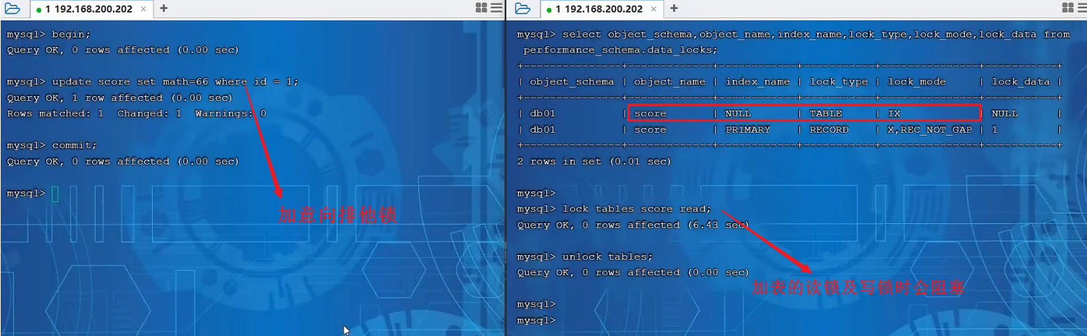 image-20240221233029940