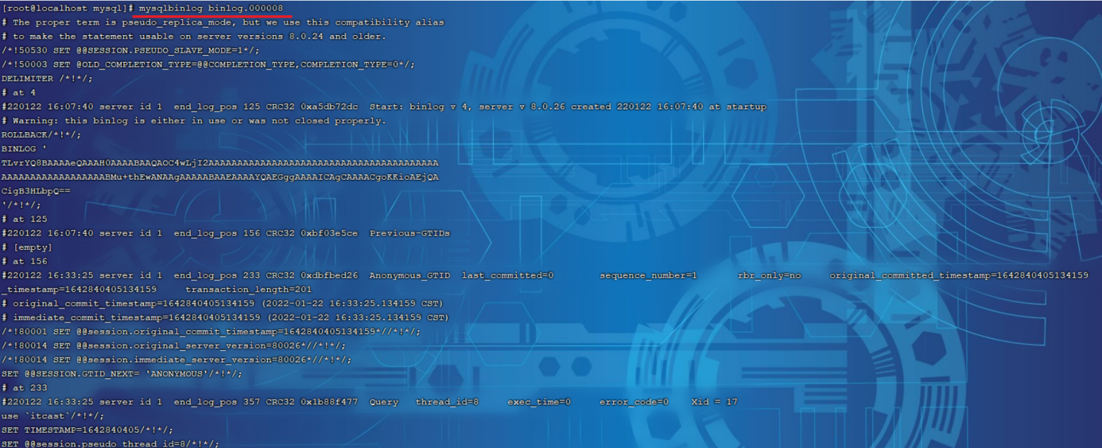 image-20240220235028392