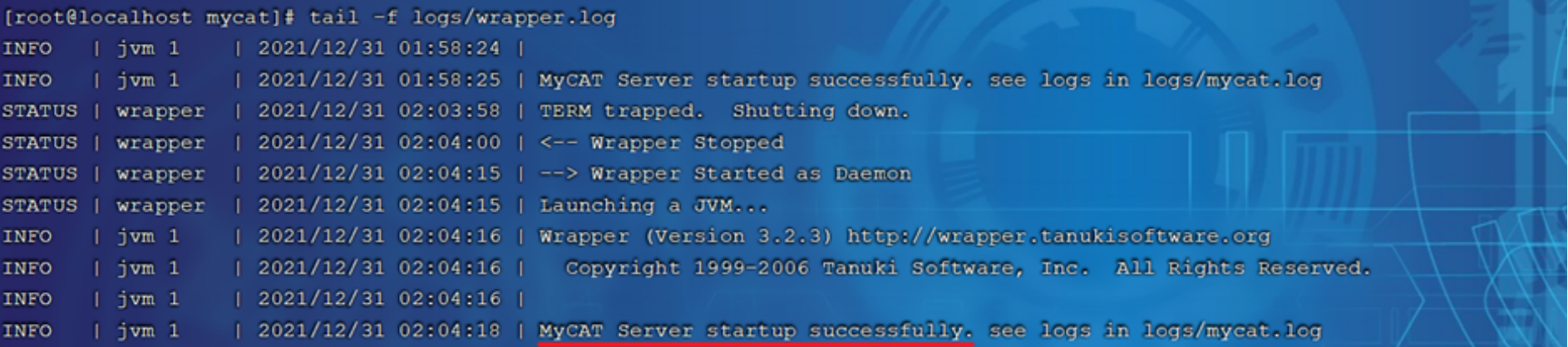 image-20240222172834794