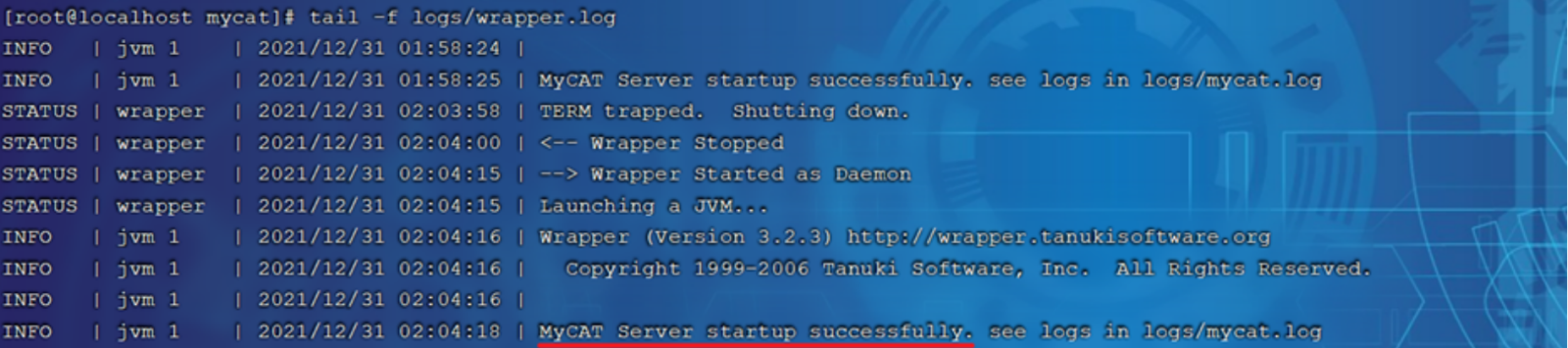 image-20240222172834794