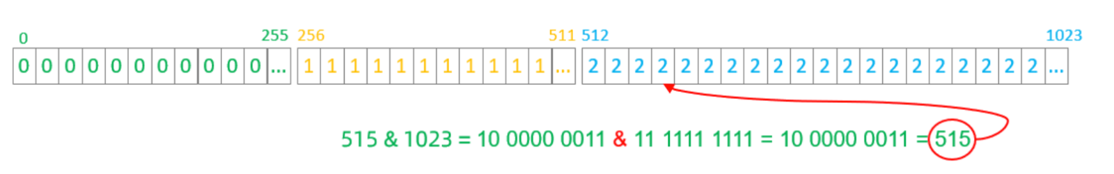 image-20240223175046959