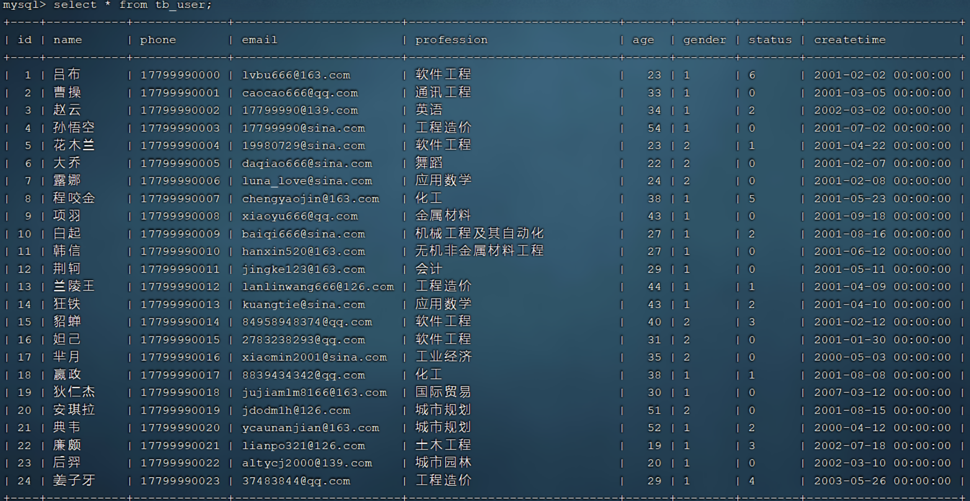 image-20240219200233944