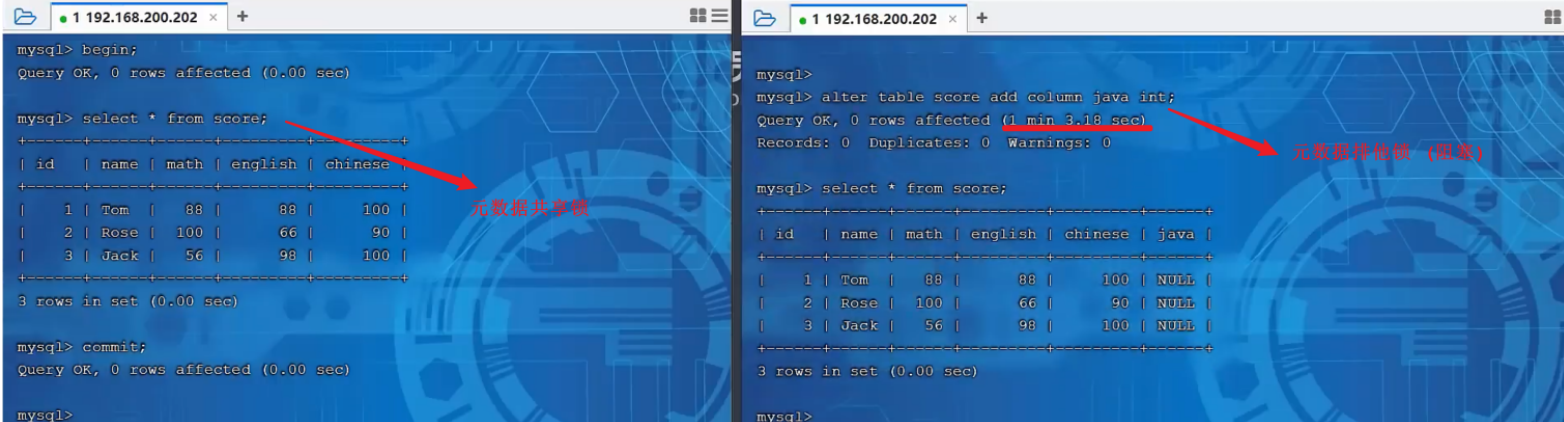 image-20240221223257537