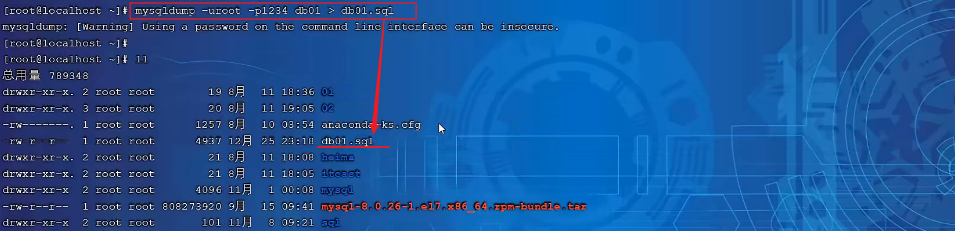 image-20240220235553361