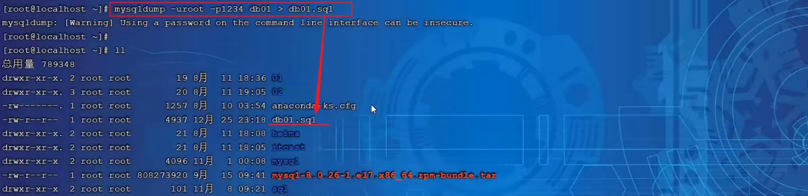 image-20240220235553361