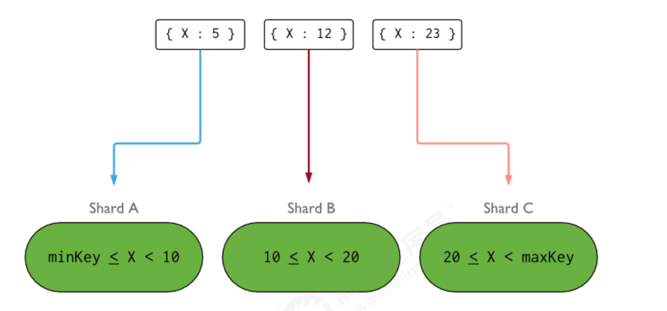 image-20240429164956387
