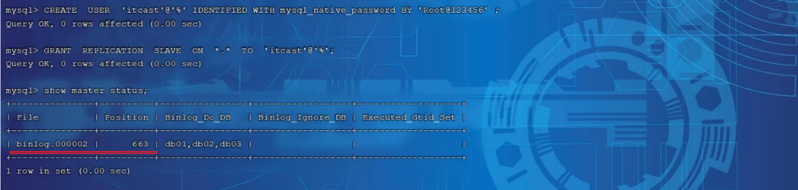 image-20240223212748616