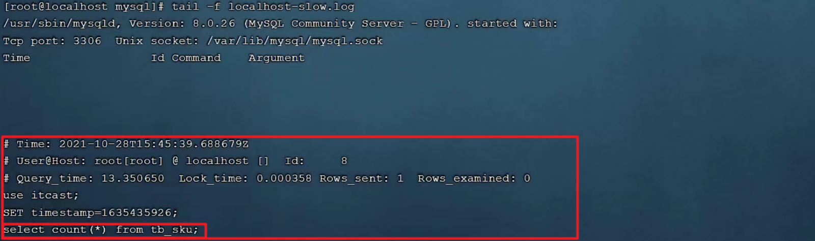 image-20240219200957842