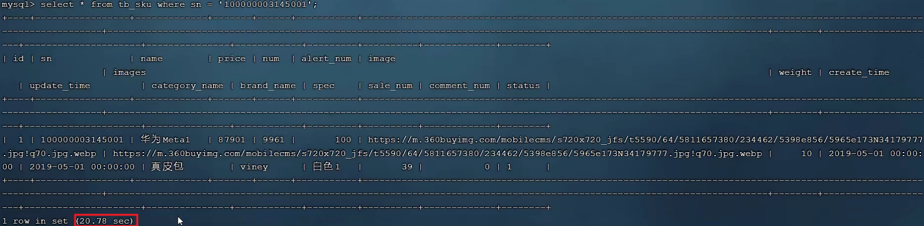 image-20240219232759870