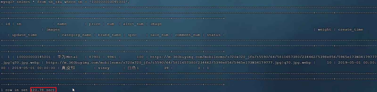image-20240219232759870