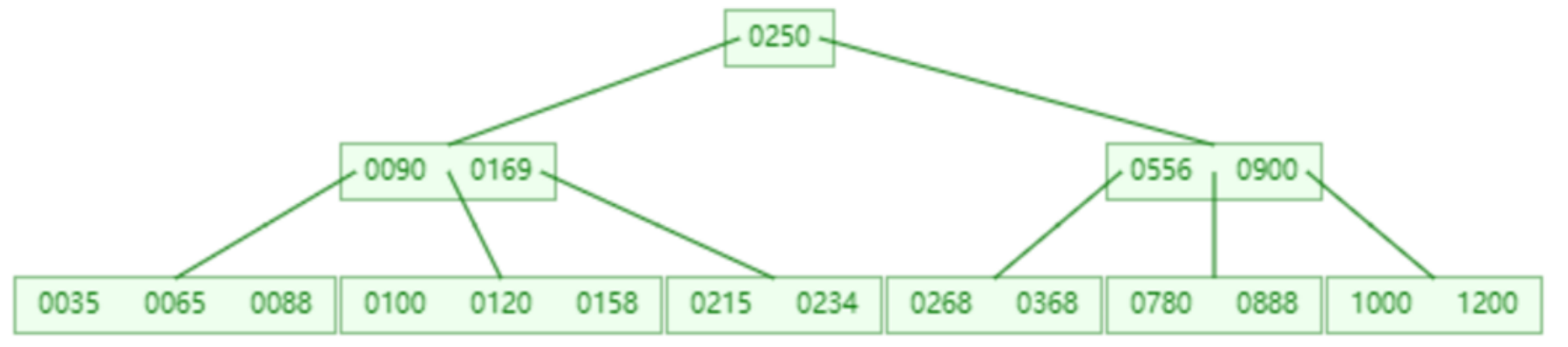 image-20240219193558894