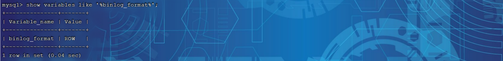 image-20240222164738015