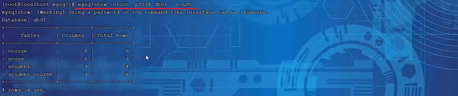 image-20240220235309180