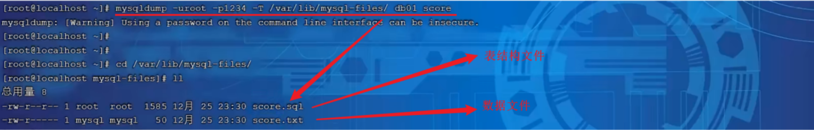 image-20240221000032568
